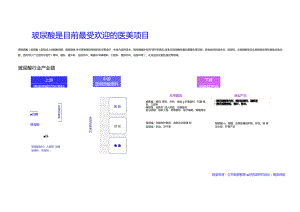 2023医美玻尿酸行业简析报告.docx