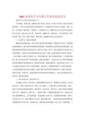 【精选】2024业务员个人年度工作参考总结范文.docx