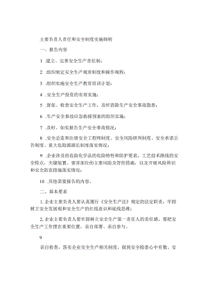 主要负责人述责述安制度实施细则.docx