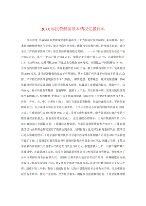 20XX年民营经济基本情况汇报材料.docx