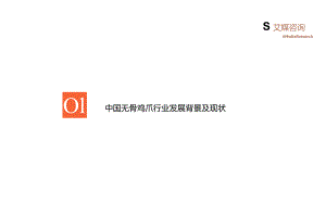 2023年中国无骨鸡爪消费市场研究报告.docx