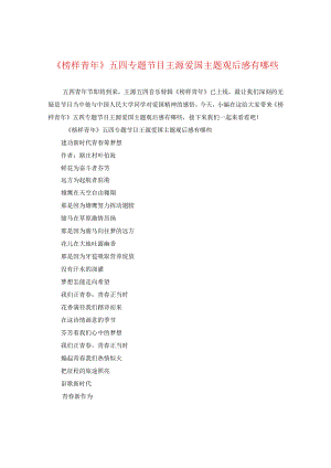 《榜样青年》五四专题节目王源爱国主题观后感有哪些.docx