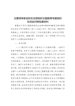 主要领导参加所在支部组织主题教育专题组织生活会对照检查材料&【写材料用典】读不尽者天下之书；参不尽者天下之理.docx