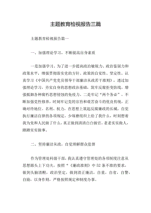 主题教育检视报告三篇.docx