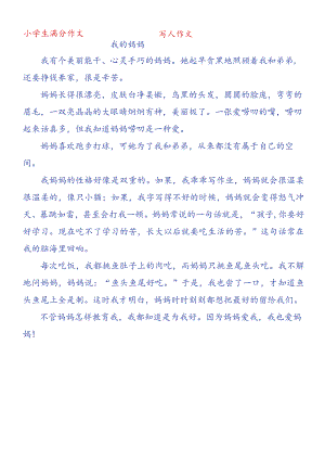 优秀作文《我的妈妈》400字.docx