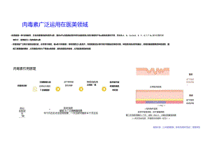 2023医美肉毒素行业简析报告.docx