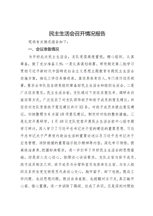 民主生活会召开情况报告.docx