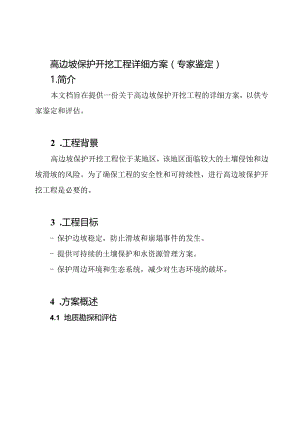 高边坡保护开挖工程详细方案(专家鉴定).docx