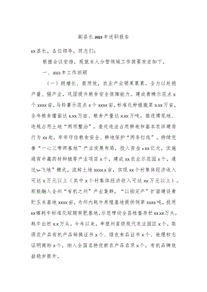副县长2023年述职报告.docx