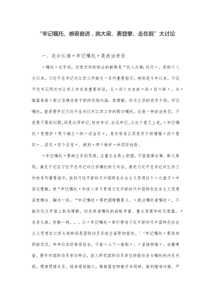 “牢记嘱托、感恩奋进挑大梁、勇登攀、走在前”大讨论发言稿.docx