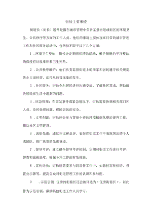 街长主要事迹.docx