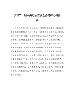 学习贯彻二十届中央纪委三次全会精神心得体会发言稿十九篇.docx