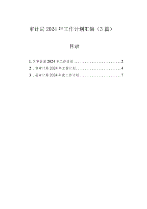 审计局2024年工作计划汇编（3篇）.docx