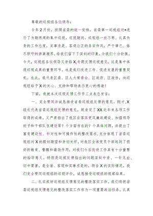 在2024年巡视情况反馈会议上的表态发言.docx