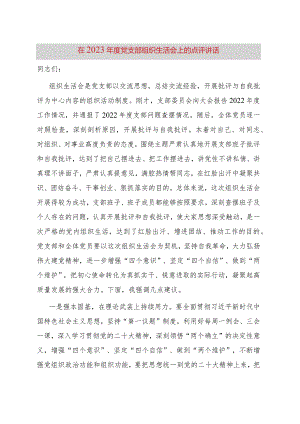 在2023年度党支部组织生活会上的点评讲话.docx