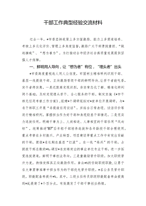 干部工作典型经验交流材料.docx