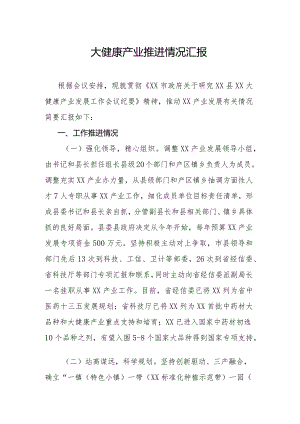 大健康产业推进情况汇报.docx