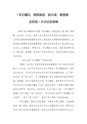 “牢记嘱托、感恩奋进挑大梁、勇登攀、走在前”大讨论发言稿.docx