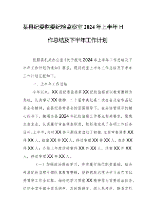 某县纪委监委纪检监察室2024年上半年工作总结及下半年工作计划.docx