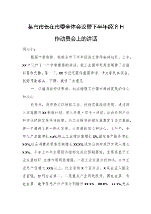 某市市长在市委全体会议暨下半年经济工作动员会上的讲1.docx