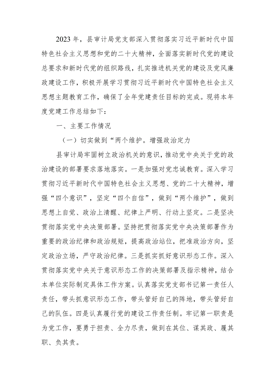 审计局党支部2023年党建工作总结.docx_第1页