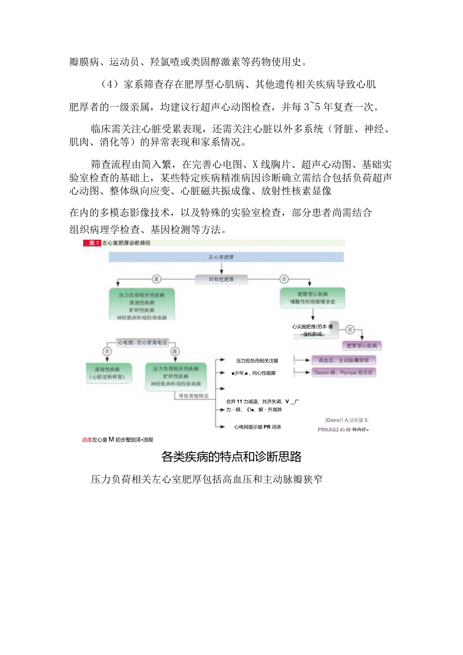 左室肥厚诊断与筛查、疾病特点、诊断思路、治疗路径及长期随访.docx_第2页