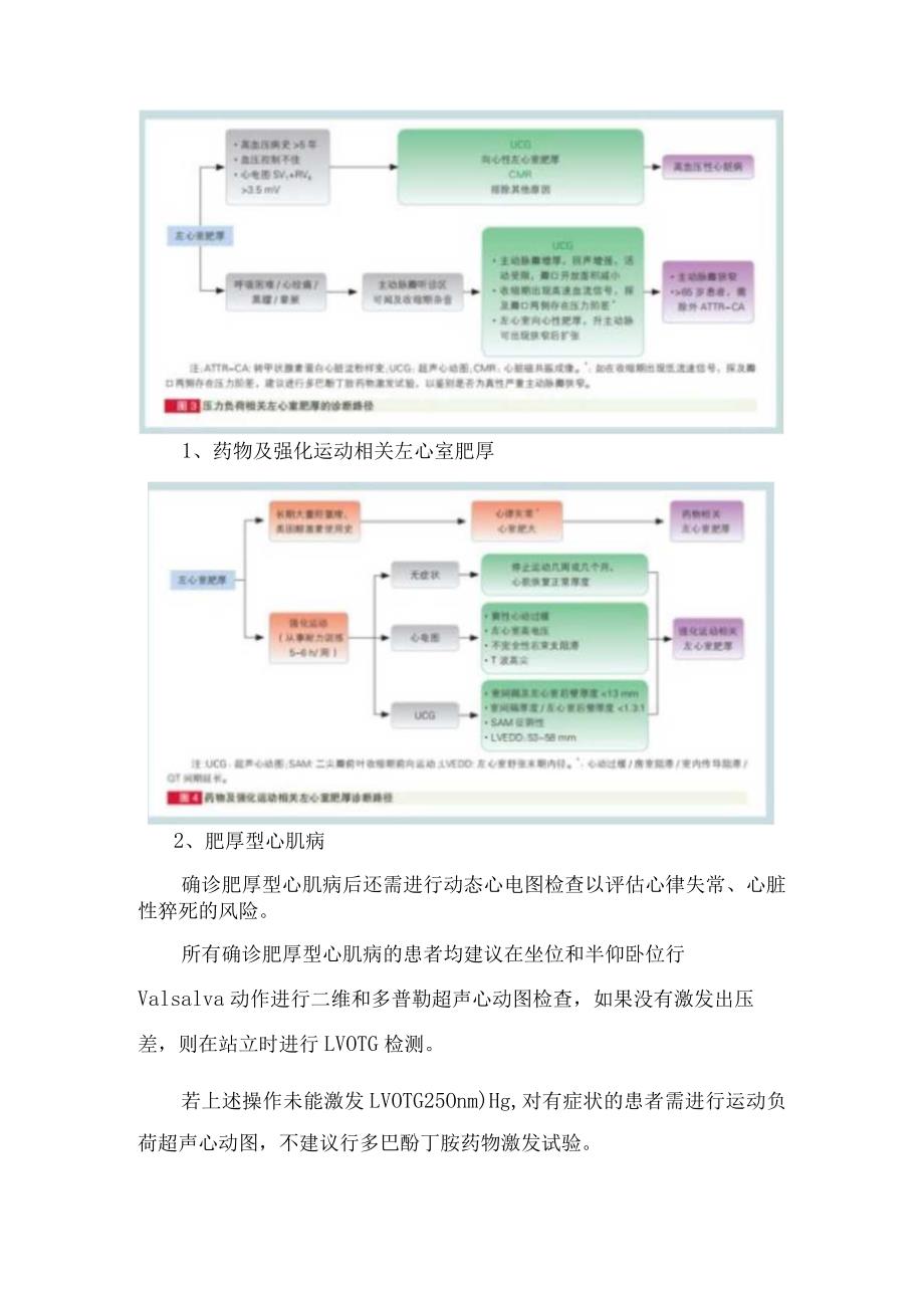 左室肥厚诊断与筛查、疾病特点、诊断思路、治疗路径及长期随访.docx_第3页
