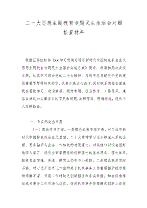 二十大思想主题教育专题民主生活会对照检查材料.docx