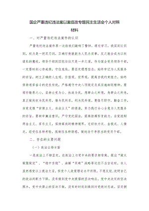 国企严重违纪违法案以案促改专题民主生活会个人对照材料.docx