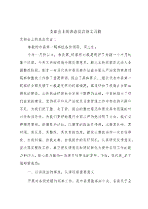 支部会上的表态发言范文四篇.docx