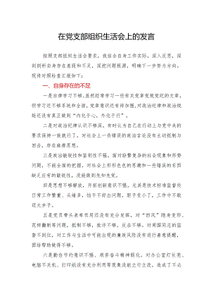在党支部组织生活会上的发言.docx