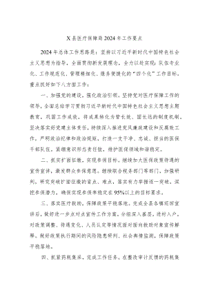 X县医疗保障局2024年工作要点.docx