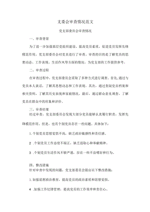支委会审查情况范文.docx