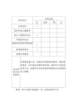 小学党支部班子民主评议表.docx