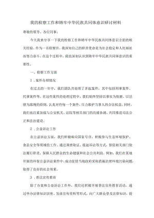 我的检察工作和铸牢中华民族共同体意识研讨材料.docx