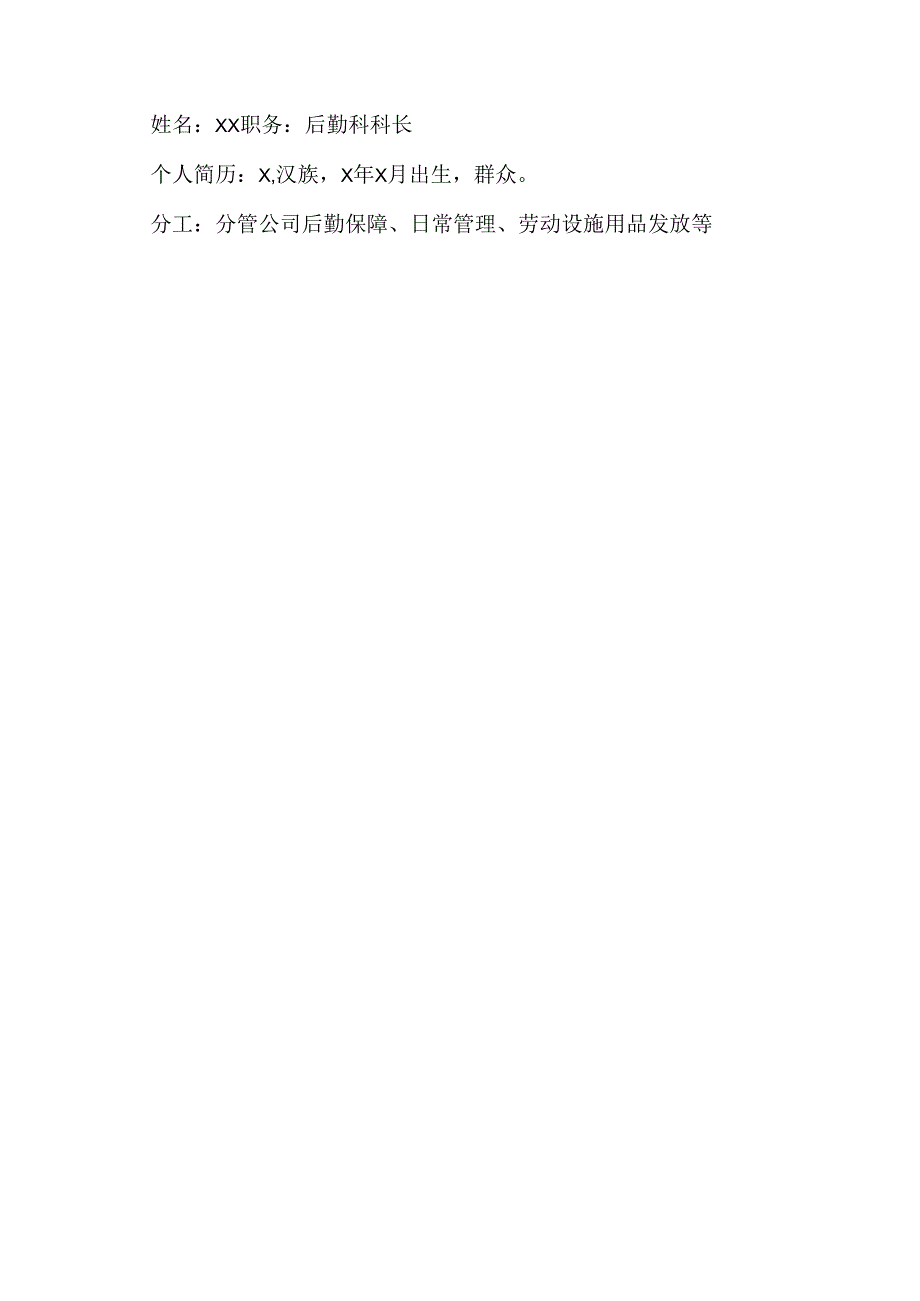 XX市公交客运有限公司企业领导职责分工(2024年).docx_第2页