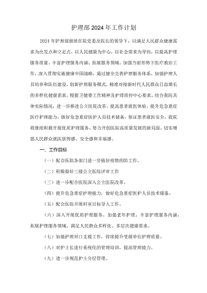 护理部2024年工作计划.docx