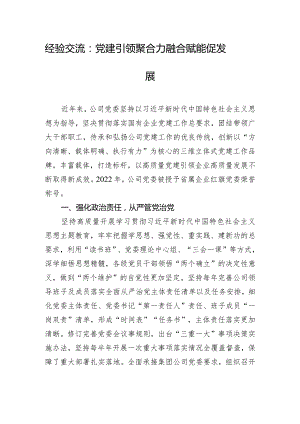 经验交流：党建引领聚合力 融合赋能促发展.docx