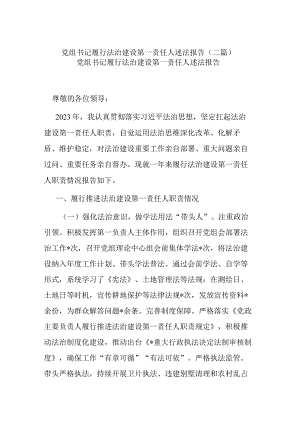 党组书记履行法治建设第一责任人述法报告(二篇).docx