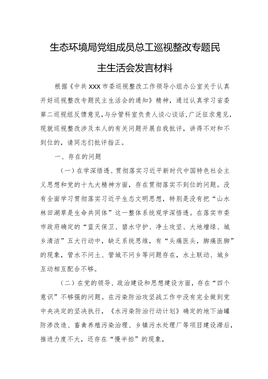 生态环境局党组成员总工巡视整改专题民主生活会发言材料.docx_第1页