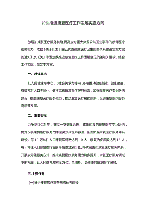加快推进康复医疗工作发展实施方案.docx