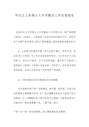 形式主义官僚主义专项整治工作自查报告.docx