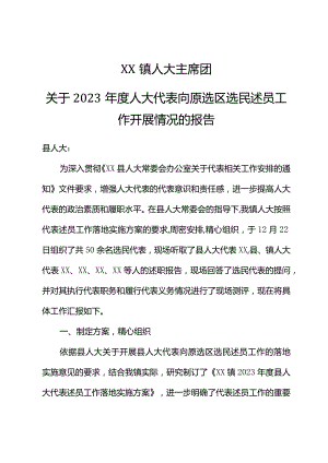 XX镇人大主席团关于2023年度人大代表述职的工作报告.docx