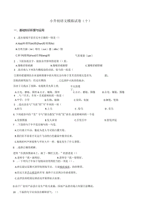 小升初模拟试卷（10）人教部编版（含答案）.docx