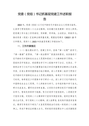 党委（党组）书记抓基层党建工作述职报告.docx