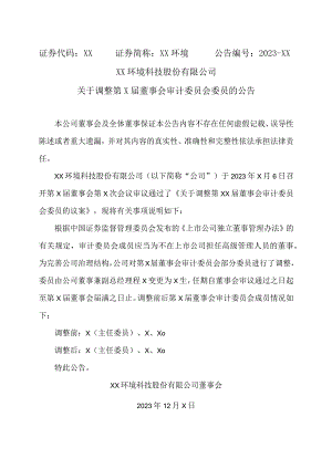 XX环境科技股份有限公司关于调整第X届董事会审计委员会委员的公告（2023年）.docx