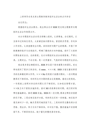 上级领导在党支部主题教育教育组织生活会的点评讲话.docx