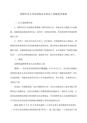 特种作业人员培训取证未持证上岗被处罚案例（2023年）.docx