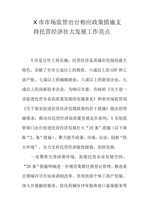 X市出台相应政策措施支持民营经济壮大发展工作亮点.docx