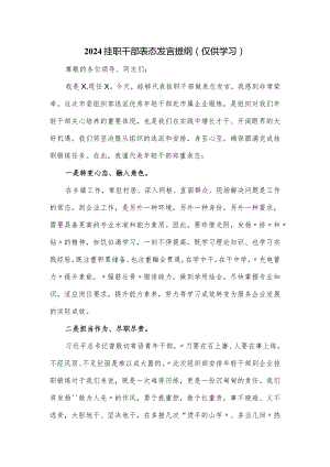 2024挂职干部表态发言提纲.docx